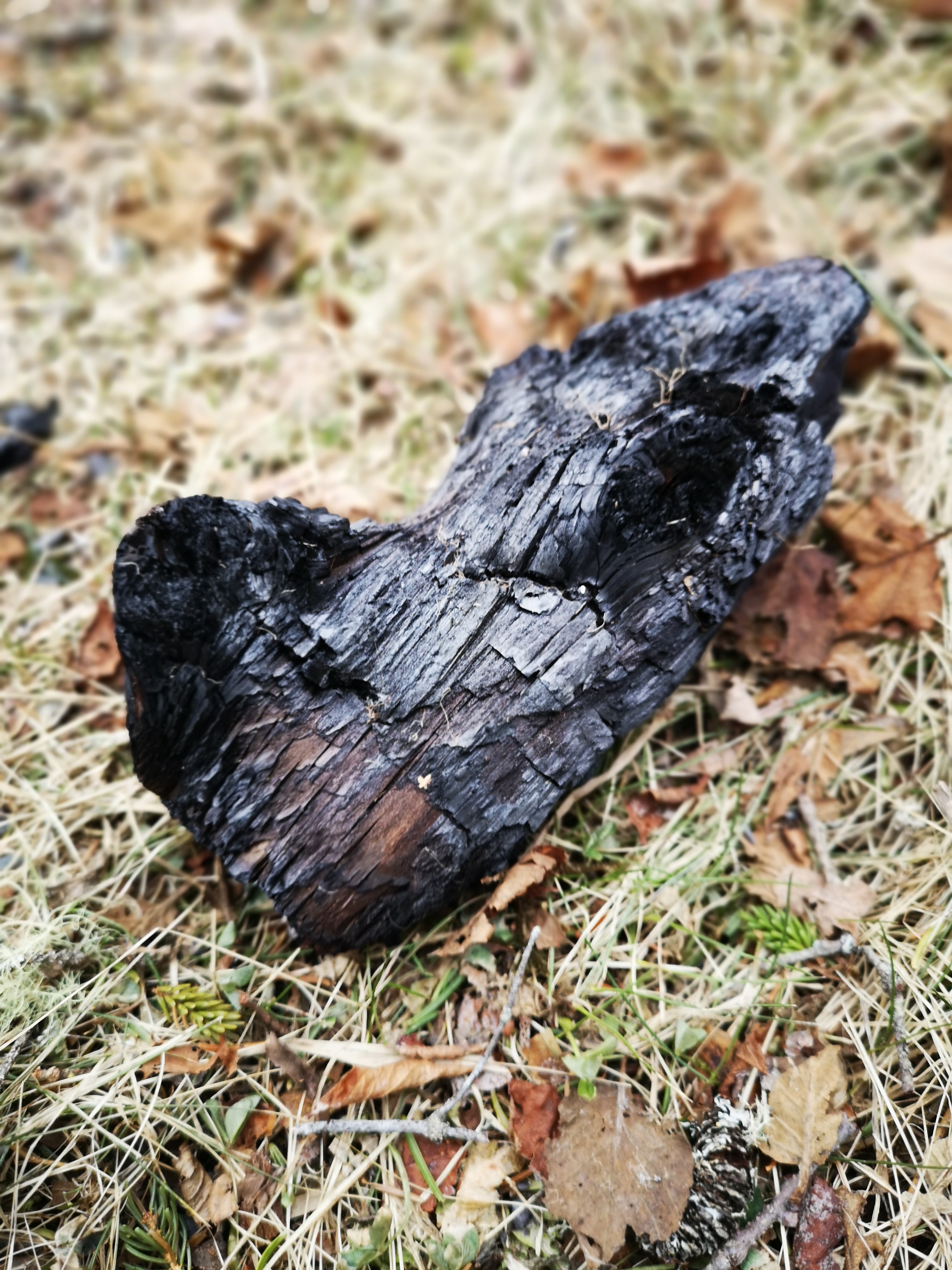 Urban twilight — glass and cobalt tones.